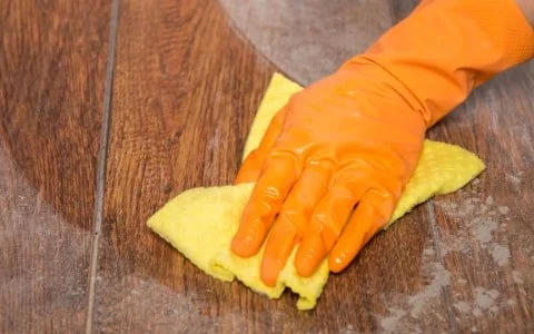 Prirodno sredstvo za pranje podova: recept koji stvarno radi